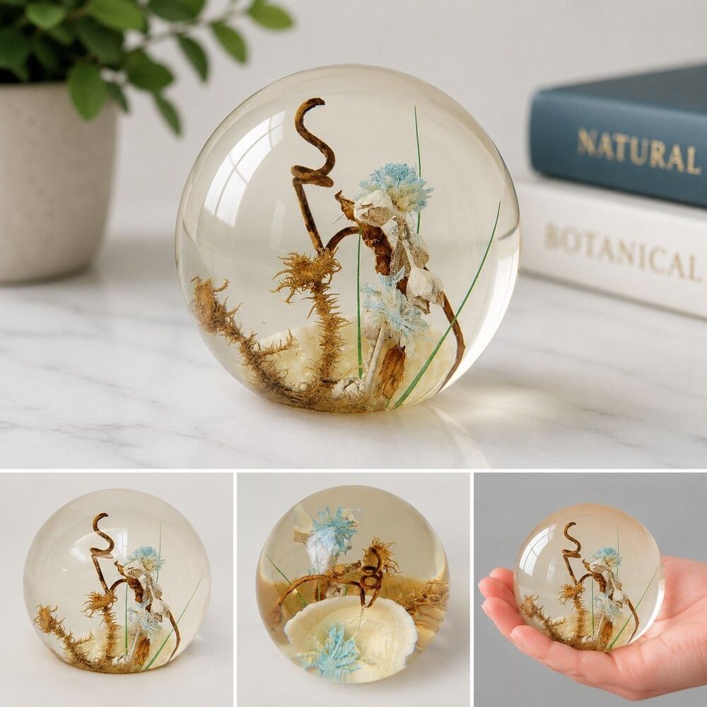 Vintage Resin Botanical Paperweight Dried Flowers Shell Clear Orb Sphere 2"